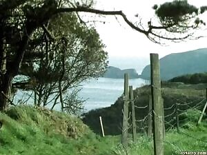 Robin McCaffrey - Mr Pye