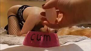 How to feed your cumslut