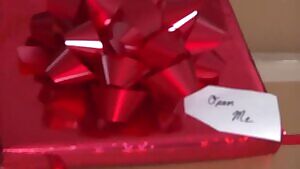 5 days until Christmas - Bad elves becomes the presents