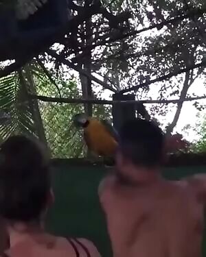 I feel like this guy and parrot are soul mates