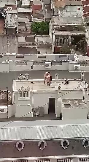 Sex on the stool on the roof