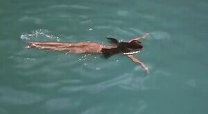 Pretty much the only full frontal female nudity in any Bond film: Françoise Therry as Chew Mee in 