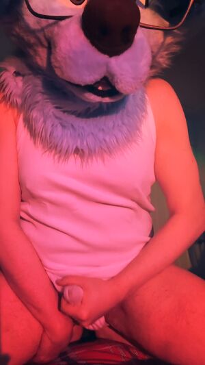 Solo Furries Amateur Cumshot Furry Masturbating