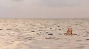 Tori Anderson hot bikini plot in 