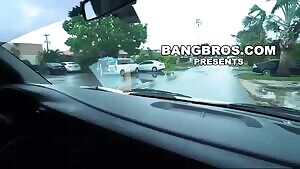 Picking Up The Fruit Lady