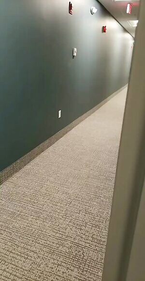 Arriving to work early has its advantages... 43