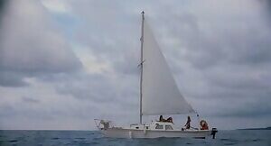 Carole Davis & Connie Lynn Hadden- Piranha II: The Spawning