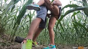 hot MILF spontaneous roadside fuck in a corn field