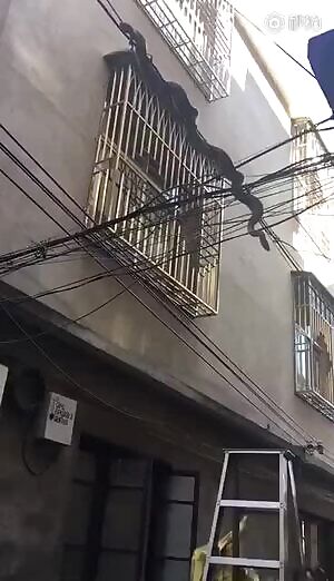 Now you can get food delivered online