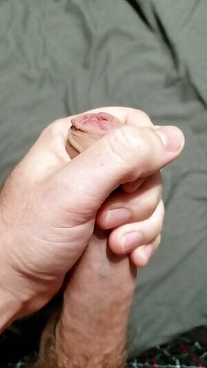 First post, am I in the right place?