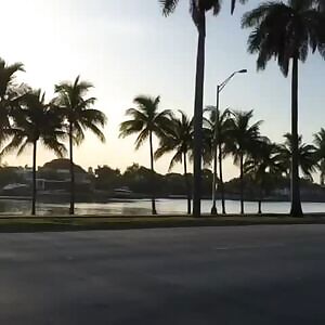 That bolt on ate her jean shorts