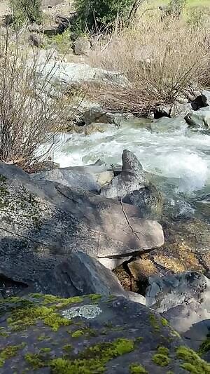 Hair in the sunshine makes it look molten... but in a cute way