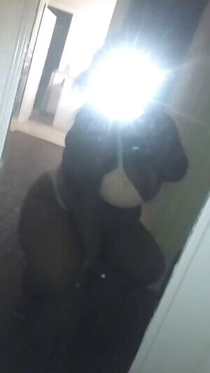 I’m feeling wild on this Saturday.