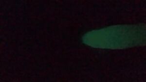 Ta-da! I can make him disappear and reappear again!