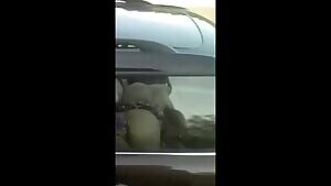 The trucker has a shock! What they showed him from the car window