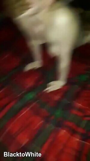 Girl Gets Pink Pussy Pounded And Stretched