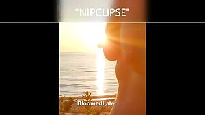 For Tit Tuesday I present 