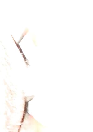 My wet pussy loves taking any cock it can get.