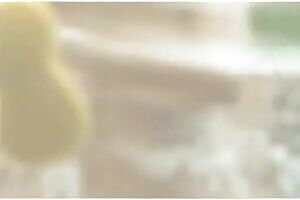 Sophie Howard may be the best window washer