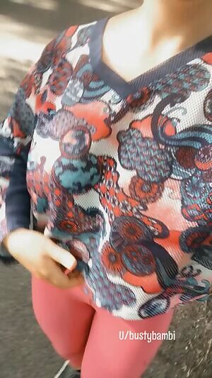 Taking the twins for a walk