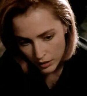 Giving Gillian Anderson a “pat down” in a private room before letting her catch her flight...