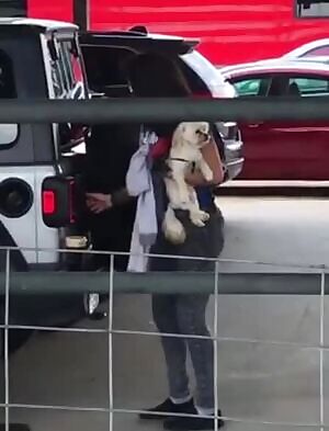 Bayley's big sexy ass in tight jeans