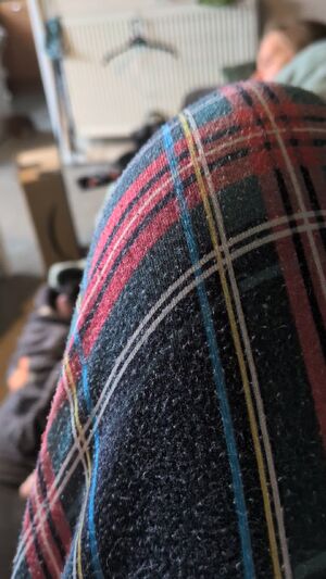 Cock Cockflash Couch Sex Couple Sleeping