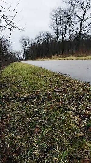 A great day for a run outside!