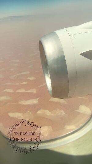 Public Nudity Airplane Boobs Extra Small