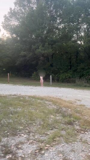 you never know when you'll see a naked hitchhiker