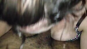 Amateur obbidient and...