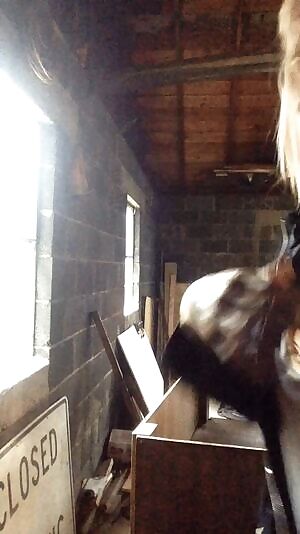 adorableporn - Caught Flashing the Neighbors