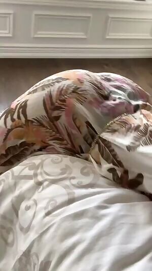 Milo Bent over the bed