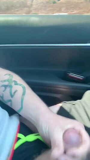 Giving a free show on the I-15