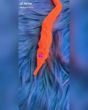 Have you ever looked at someone and wondered, what is going on inside their head?