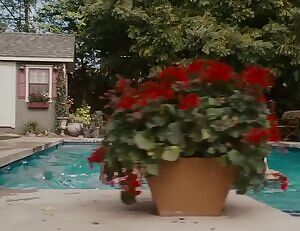 Amber Heard bikini plot in The Stepfather