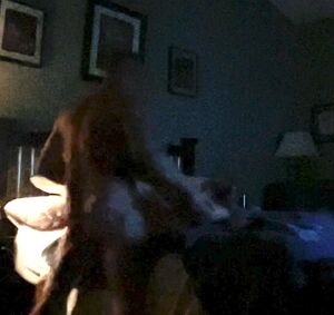 Indiana Girls Amateur Homemade NSFW Pussy