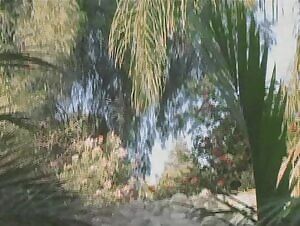 Does she make the cut?