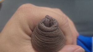 Foreskin Male Masturbation Uncircumcised