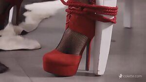 Happy pets are the best pets :)