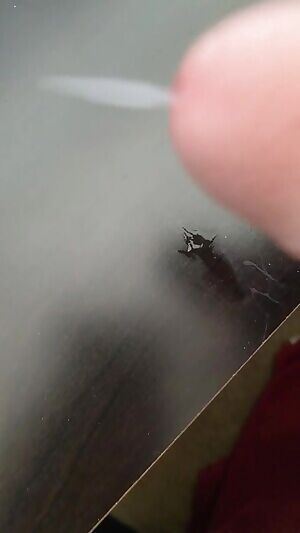 What does everyone think of this?