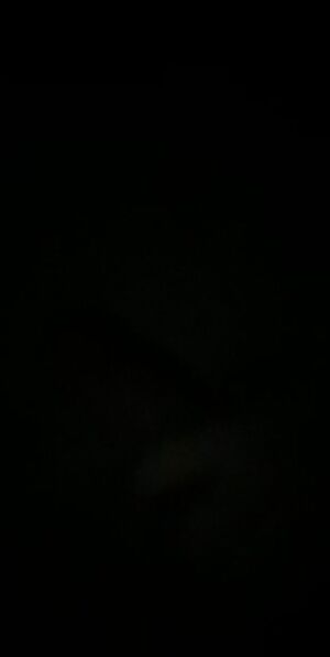 Might as well post a gif