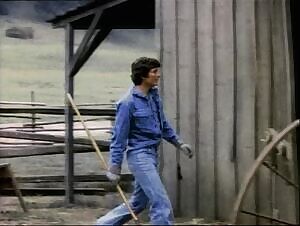 Uschi Digard- Supervixens