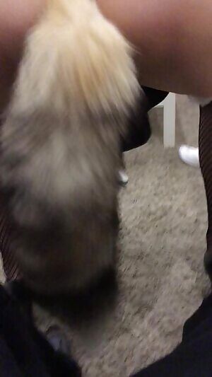 Daddy said he wanted a oxy Lady... Part 5