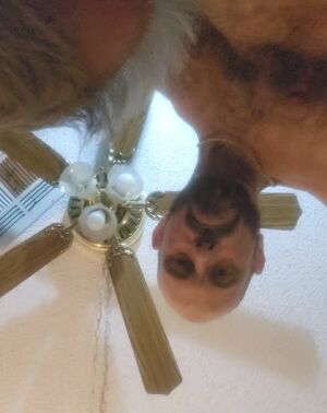 Gay DILFs Amateur Blowjob Close Up