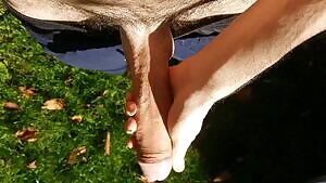 Jerking it in the sun