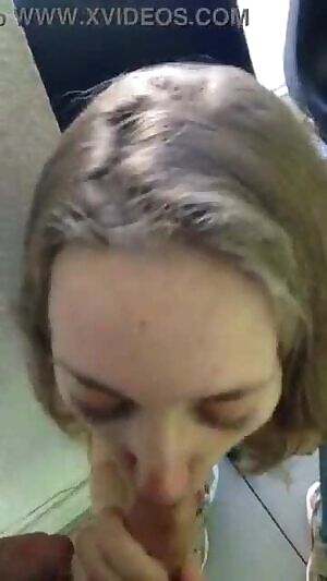 Swallow at the Laundromat