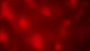 It's time for my annual post! Plot twist: It's a 58 second gif this time.