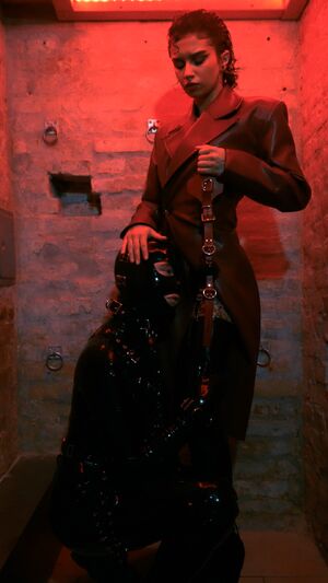 Metal Bondage BDSM Ball Gagged Gag