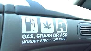 Gas Grass Or Ass